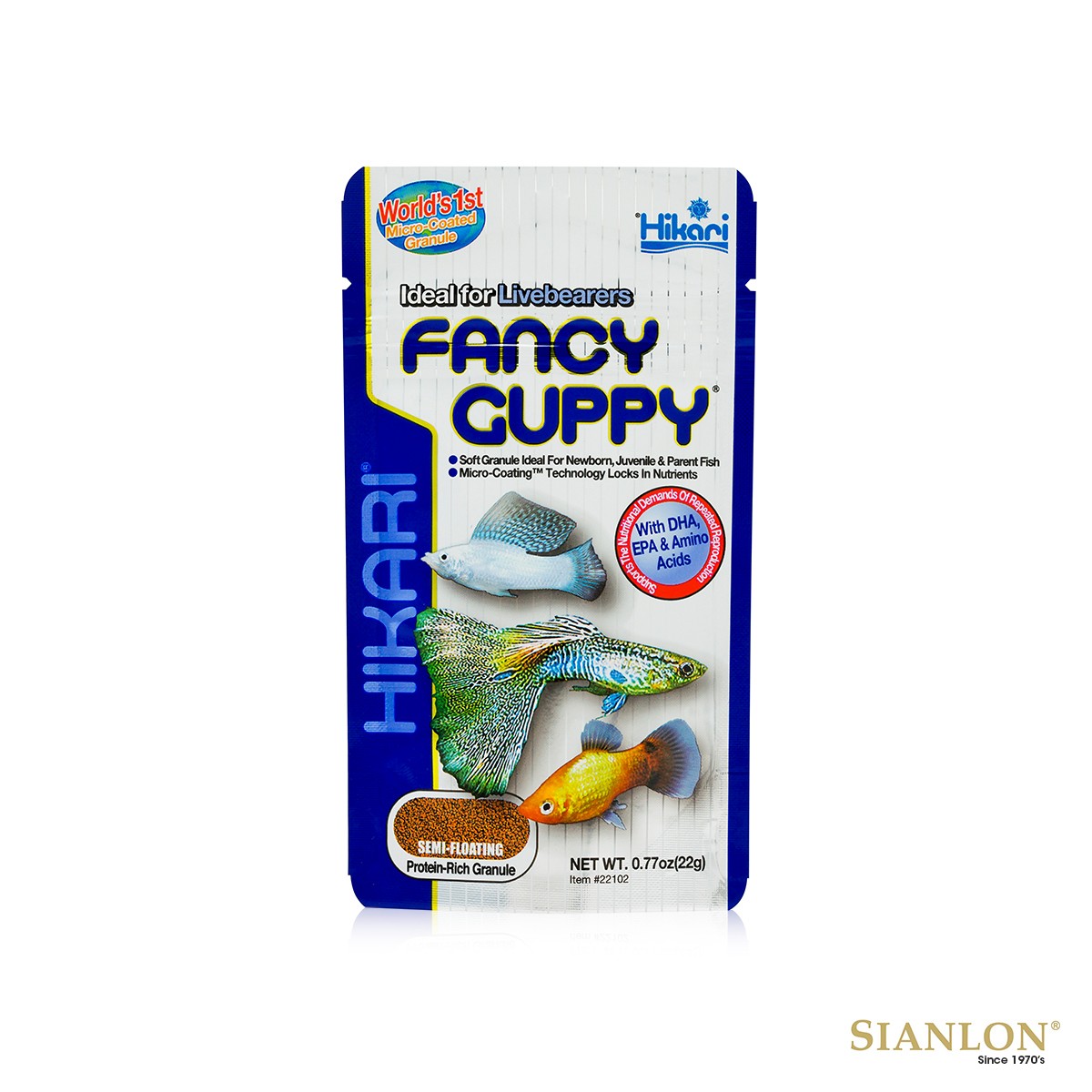 Brasov Hikari Fancy Guppy