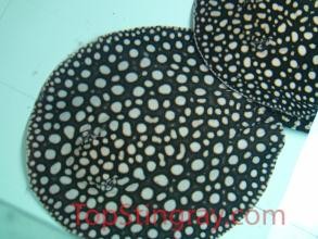 Brasov Galaxy P14 Stingray